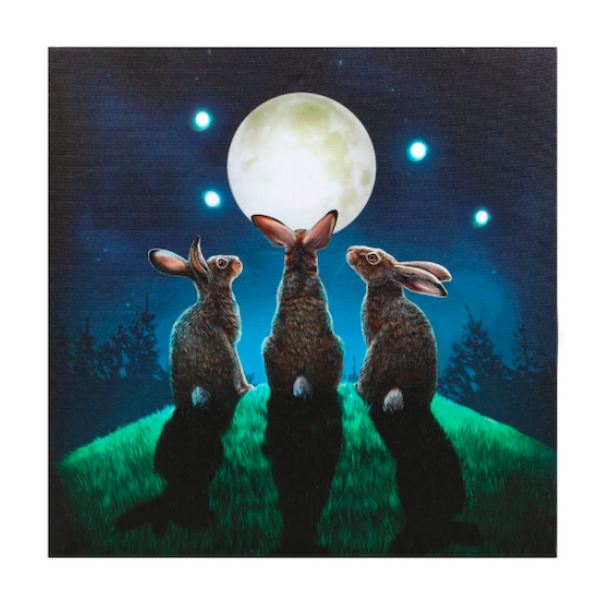 Light up Canvas Lisa Parker Moon Shadows